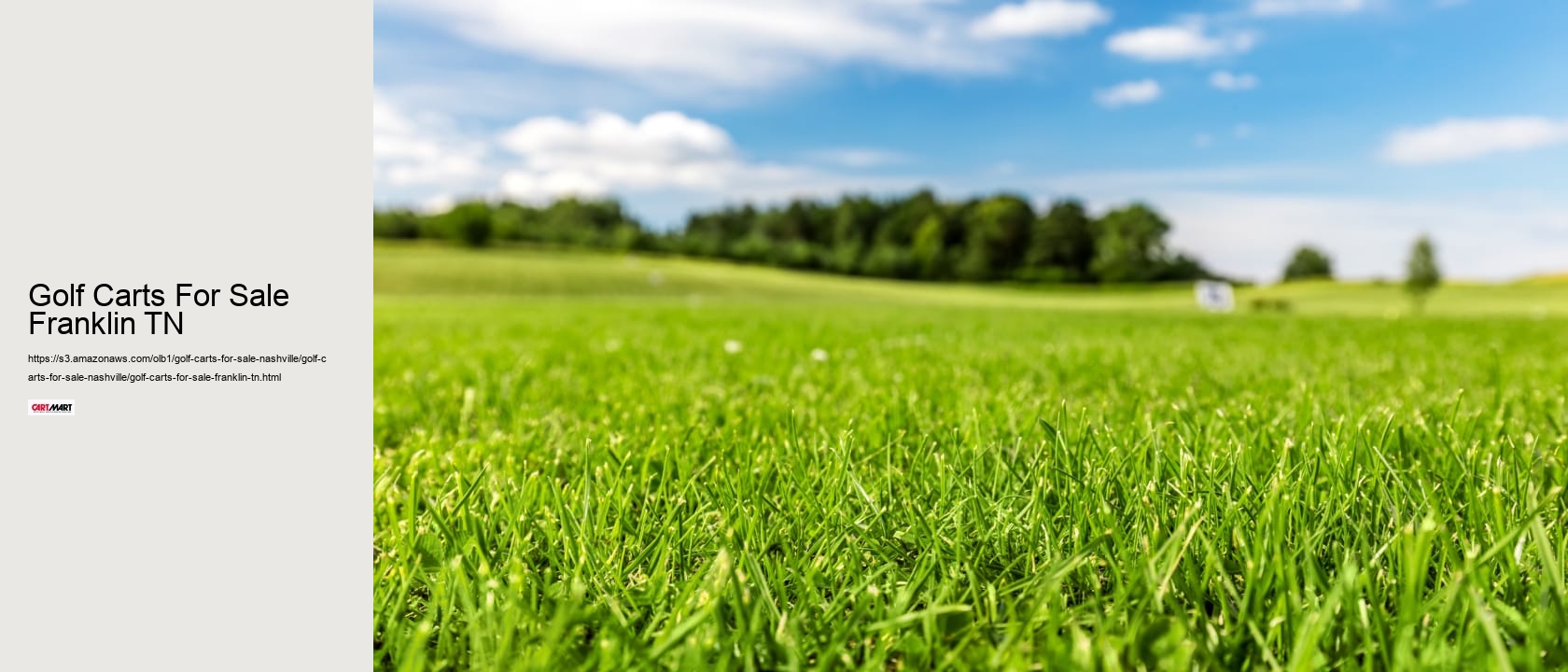 Golf Carts For Sale Franklin TN