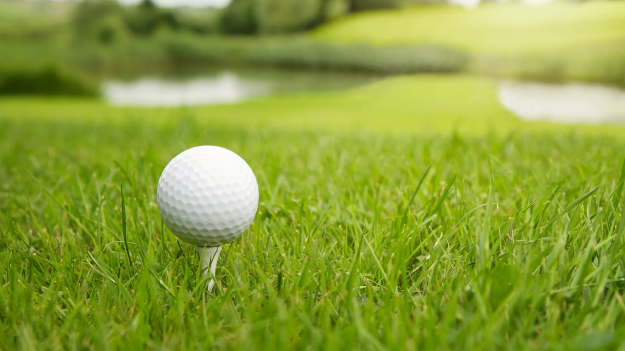 Shopping Advice from Experts in the Field: What To Consider When Buying?  