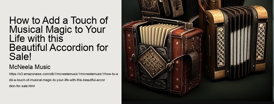 How to Add a Touch of Musical Magic to Your Life with this Beautiful Accordion for Sale!