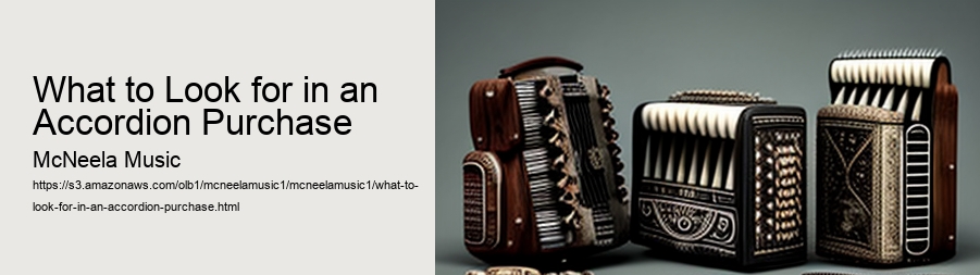 What to Look for in an Accordion Purchase 