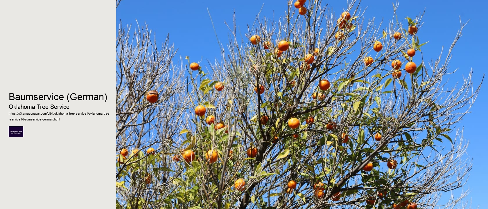 Baumservice (German)