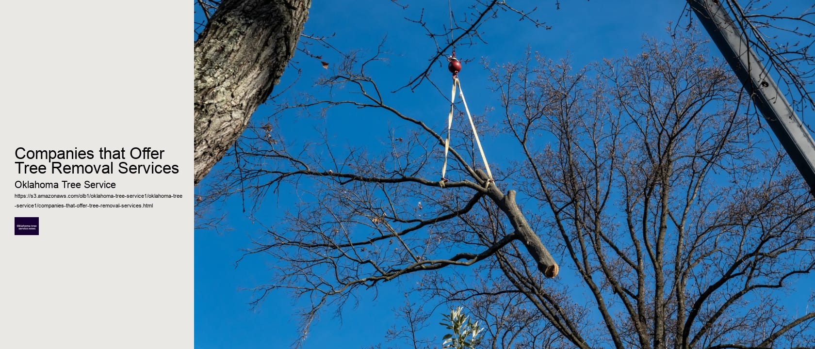 Companies that Offer Tree Removal Services