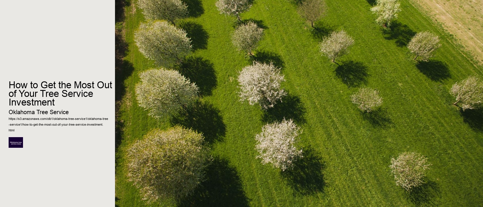 How to Get the Most Out of Your Tree Service Investment 