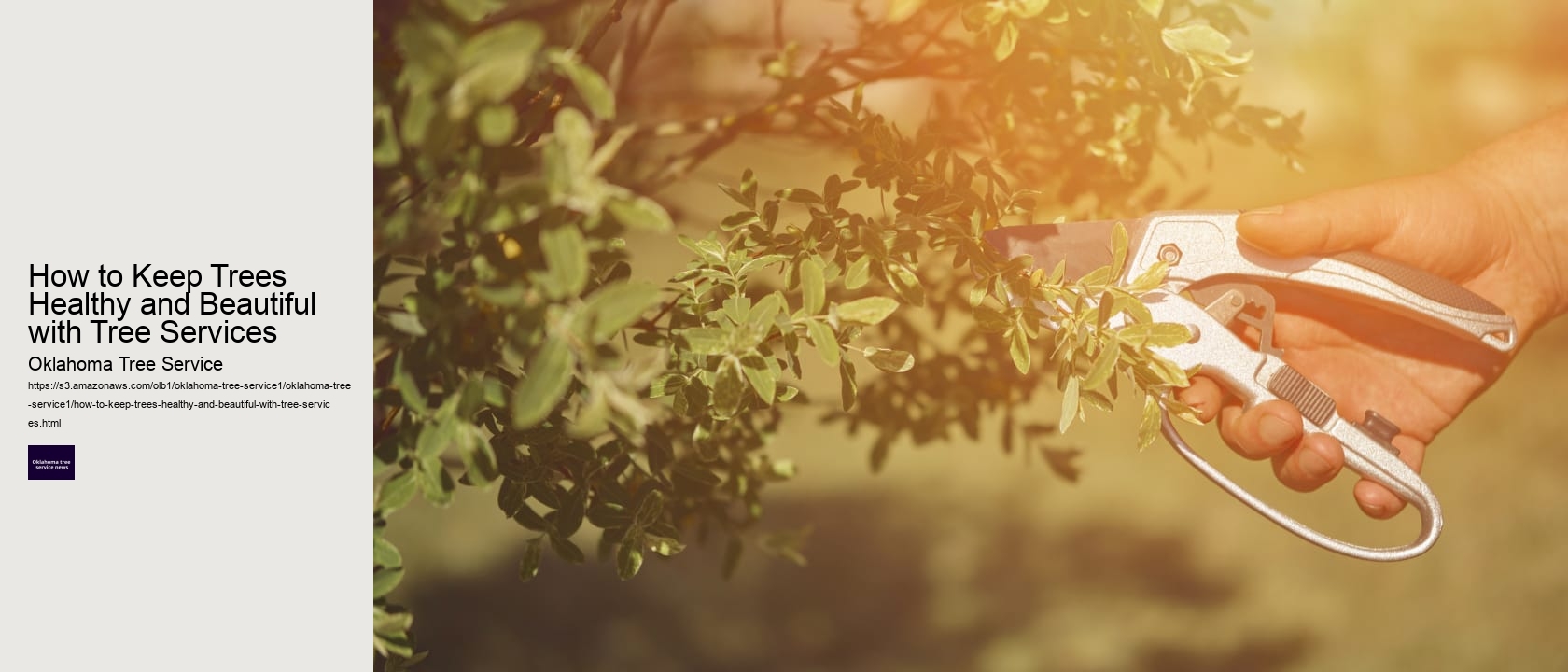 How to Keep Trees Healthy and Beautiful with Tree Services 