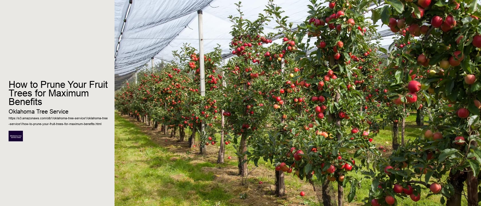 How to Prune Your Fruit Trees for Maximum Benefits 