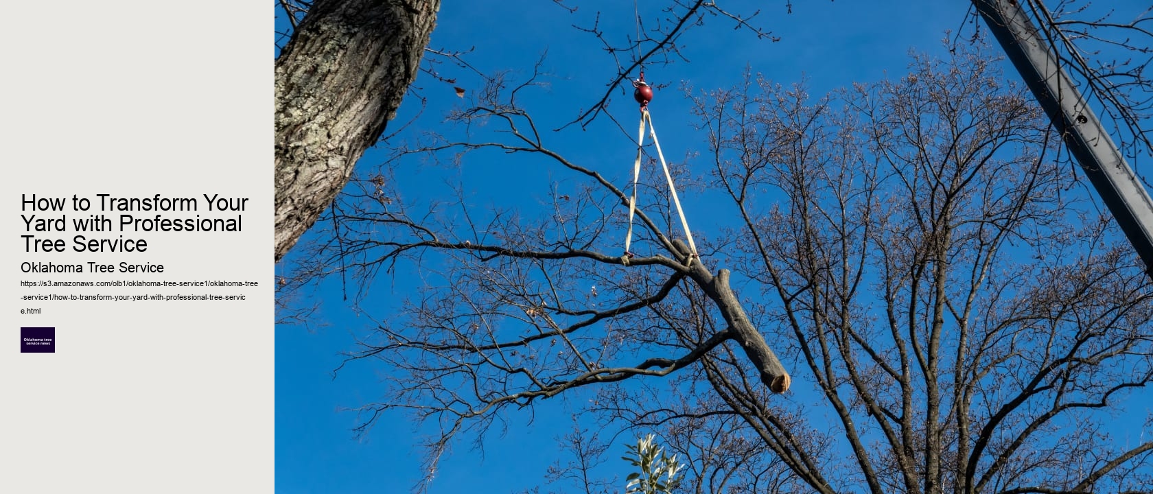 How to Transform Your Yard with Professional Tree Service 