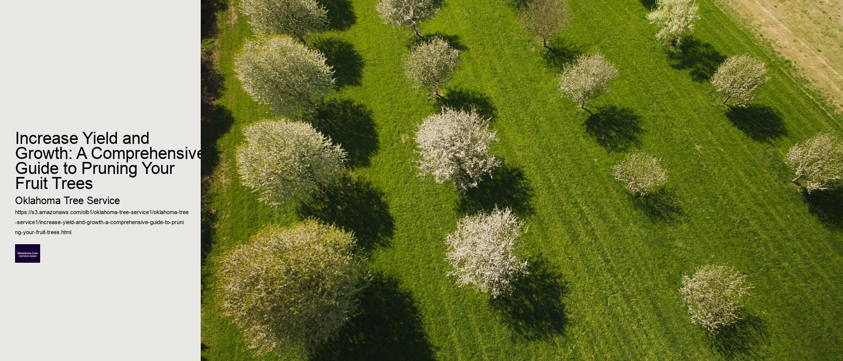 Increase Yield and Growth: A Comprehensive Guide to Pruning Your Fruit Trees 