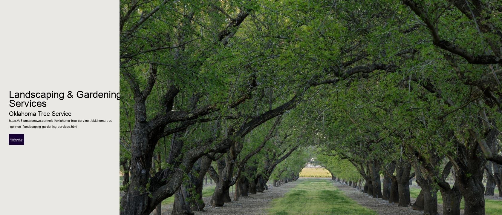 Landscaping & Gardening Services