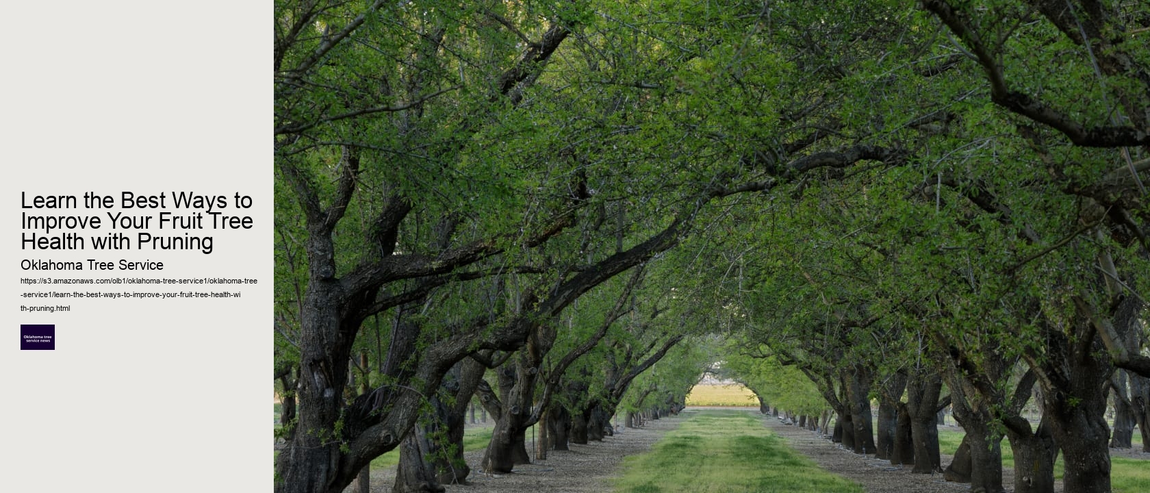 Learn the Best Ways to Improve Your Fruit Tree Health with Pruning 
