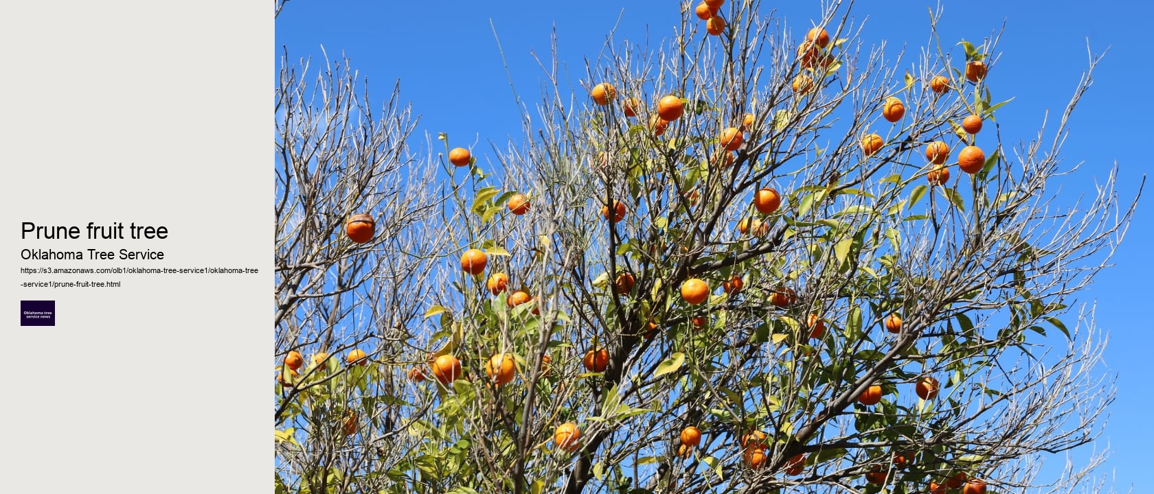 Prune fruit tree