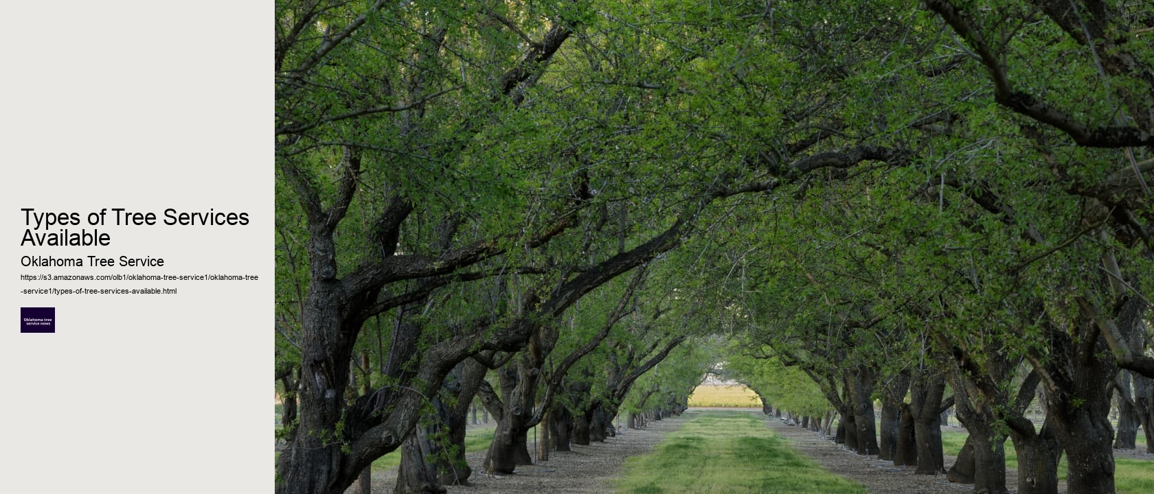 Types of Tree Services Available 