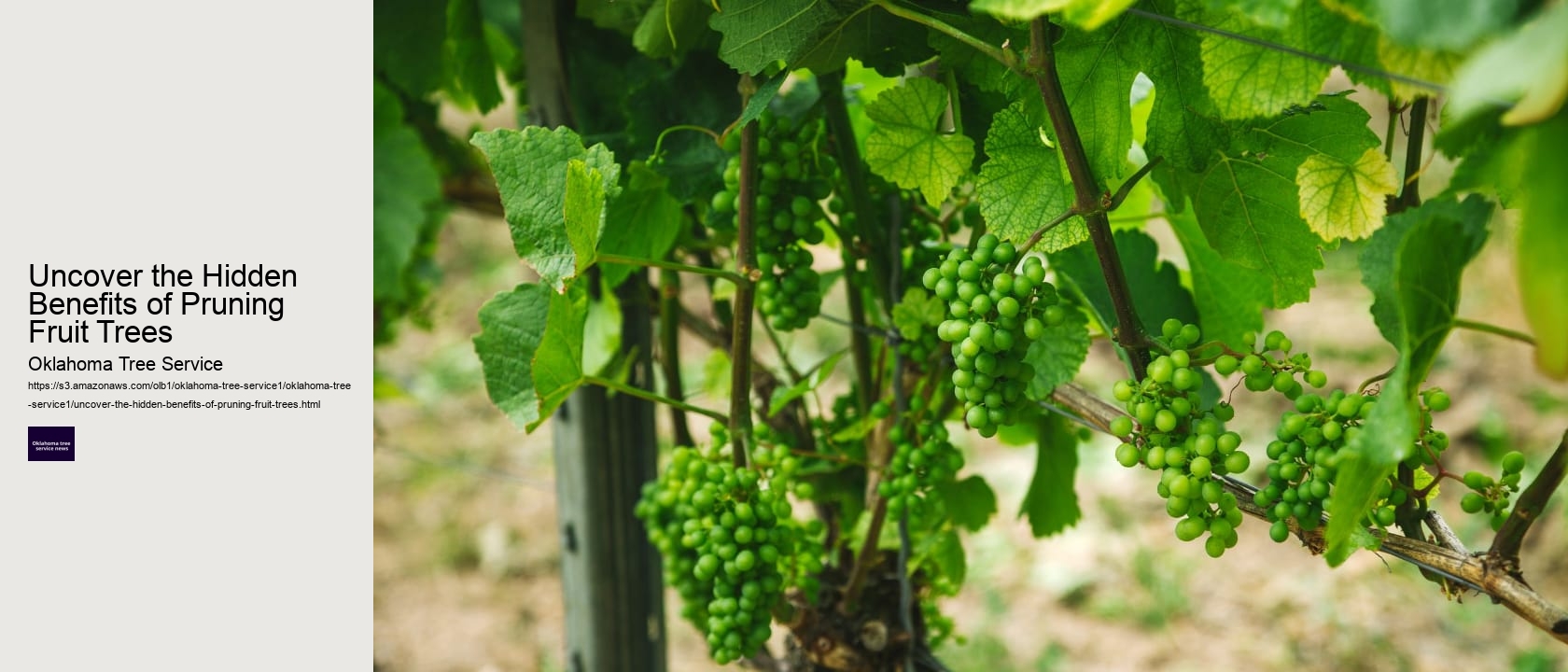 Uncover the Hidden Benefits of Pruning Fruit Trees 