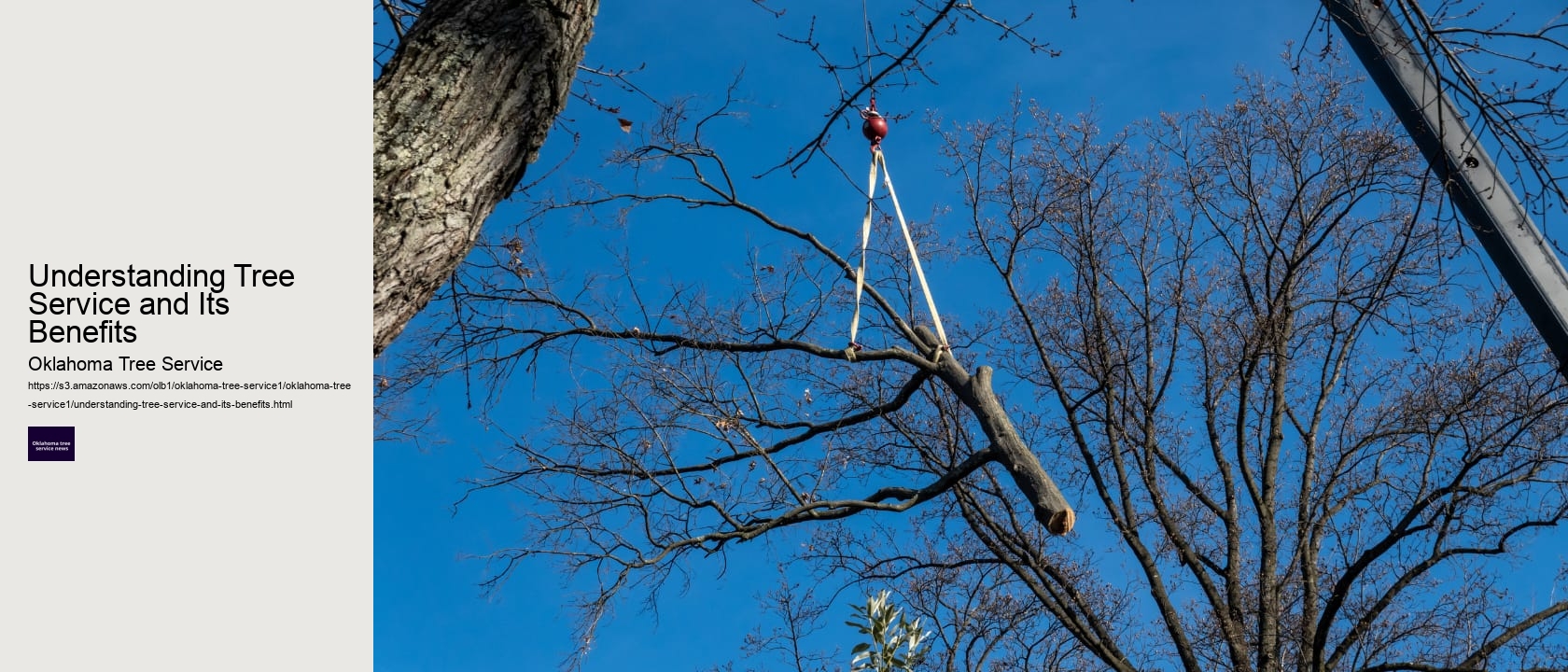 Understanding Tree Service and Its Benefits 