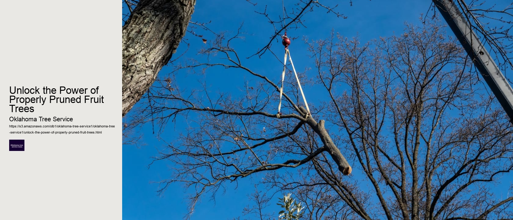Unlock the Power of Properly Pruned Fruit Trees 