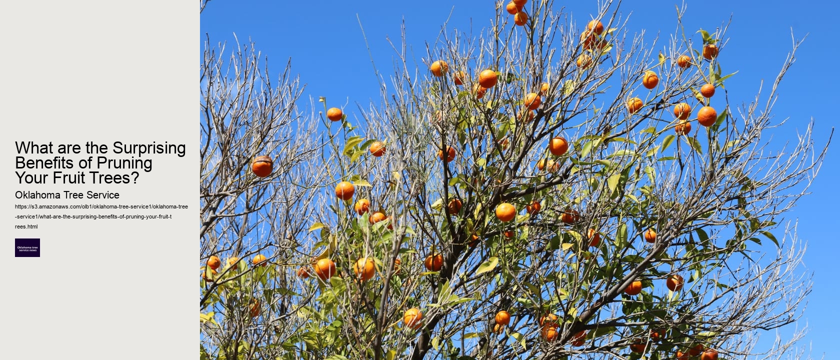 What are the Surprising Benefits of Pruning Your Fruit Trees? 
