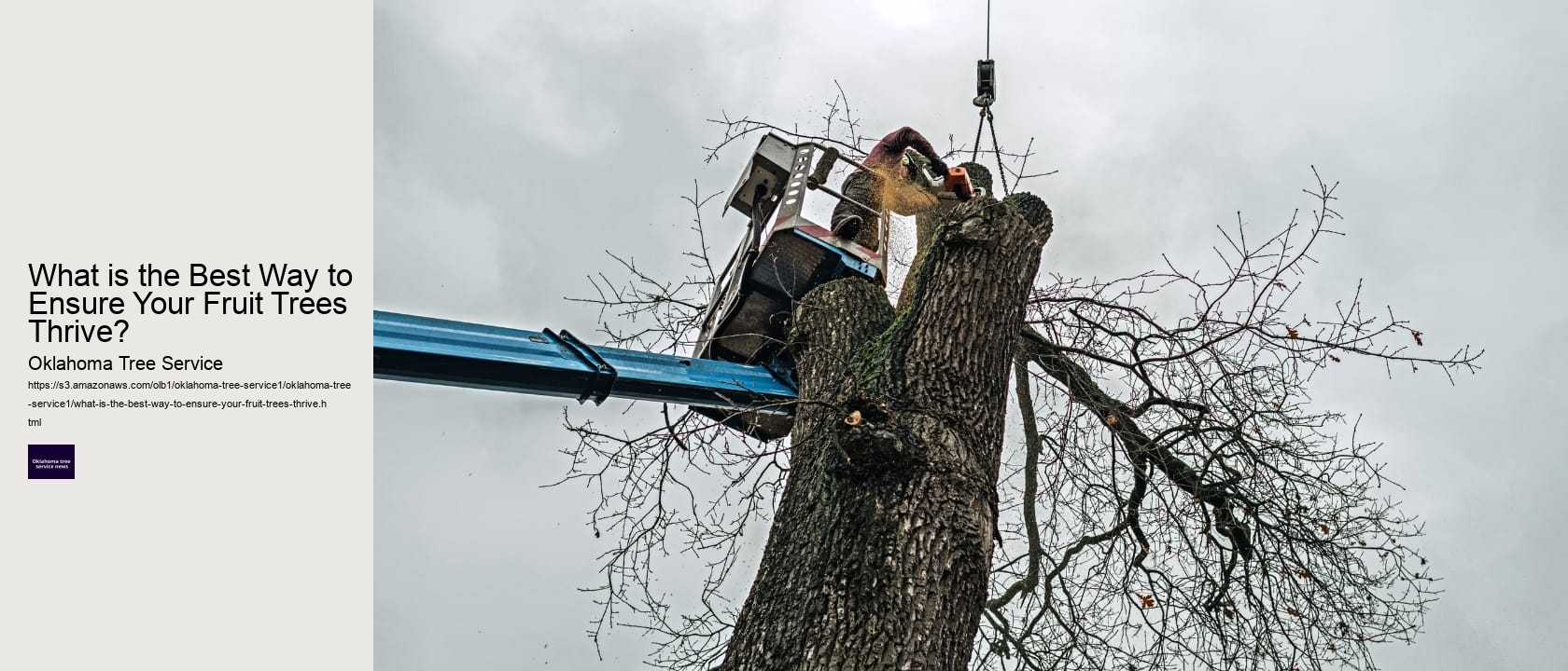 What is the Best Way to Ensure Your Fruit Trees Thrive? 