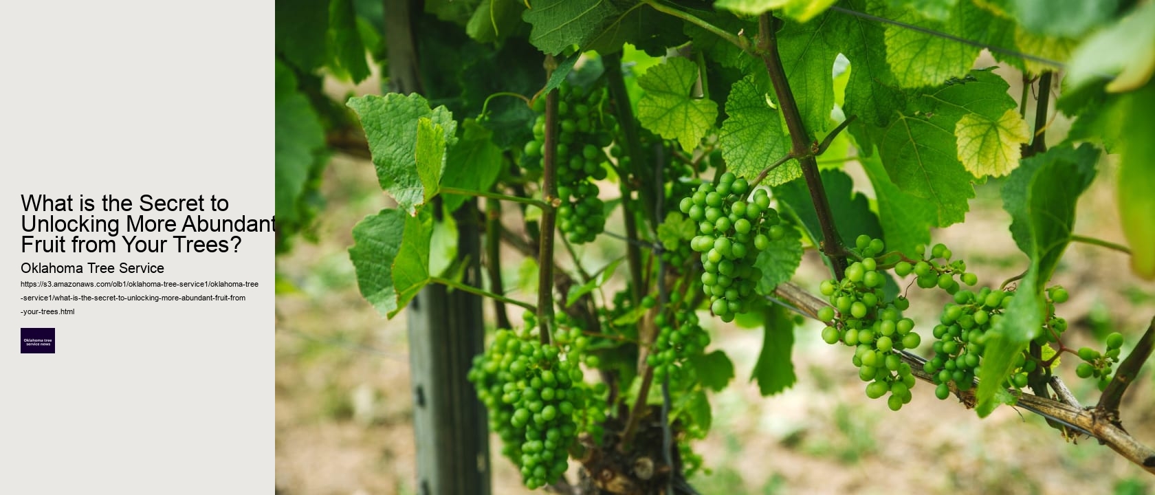 What is the Secret to Unlocking More Abundant Fruit from Your Trees? 