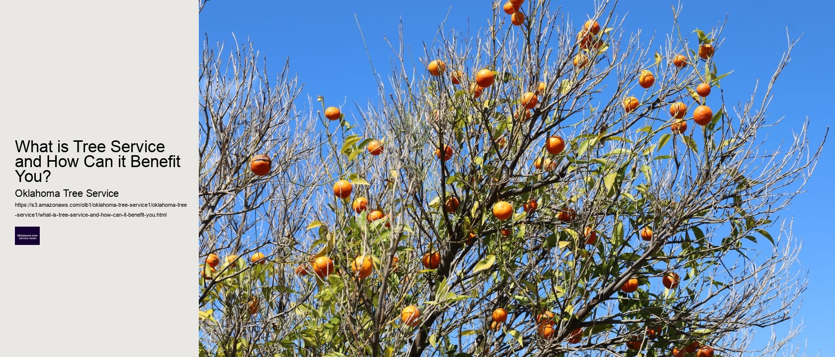 What is Tree Service and How Can it Benefit You? 