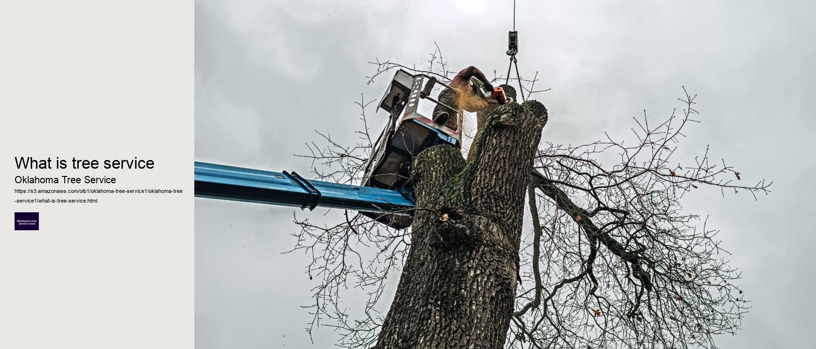 what is tree service