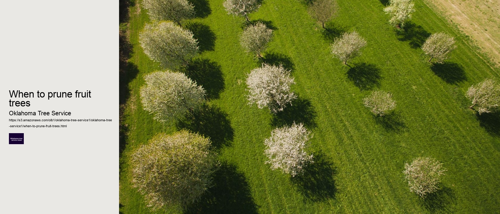 When to prune fruit trees