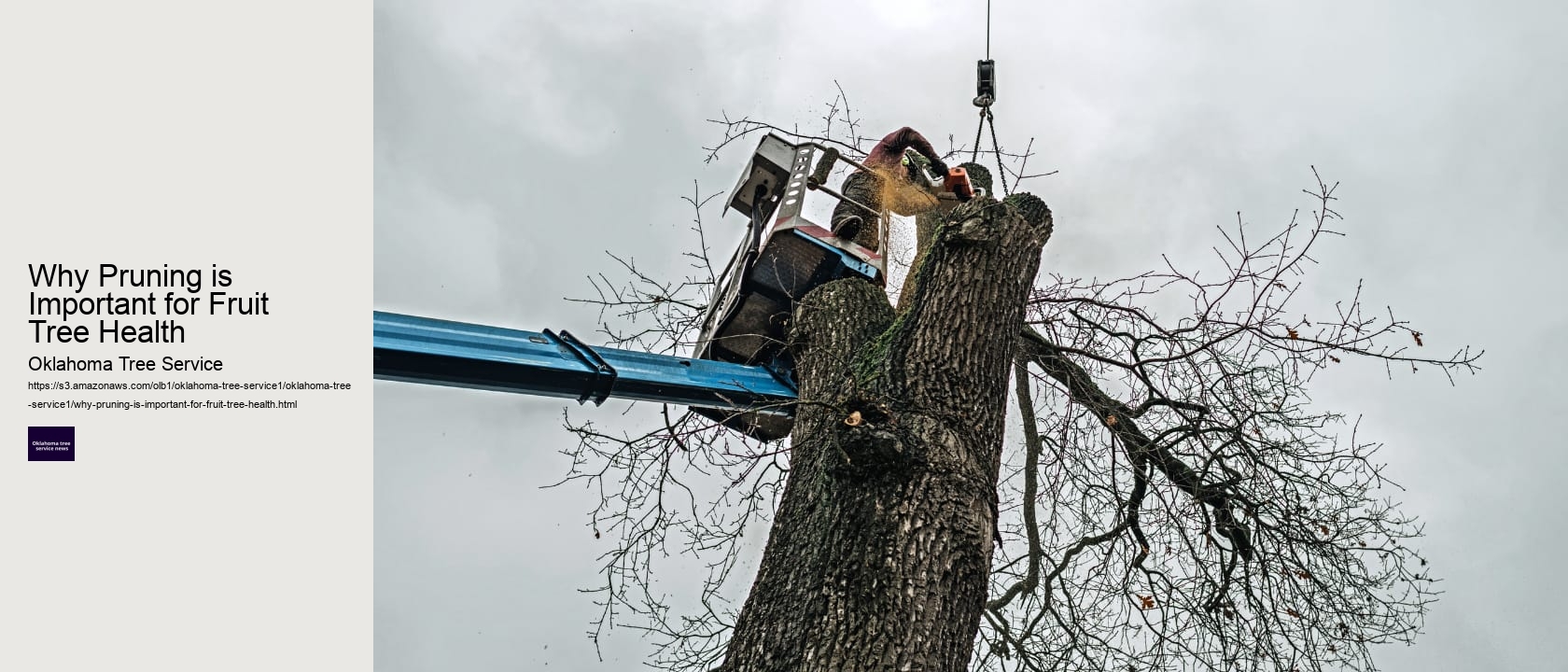 Why Pruning is Important for Fruit Tree Health 