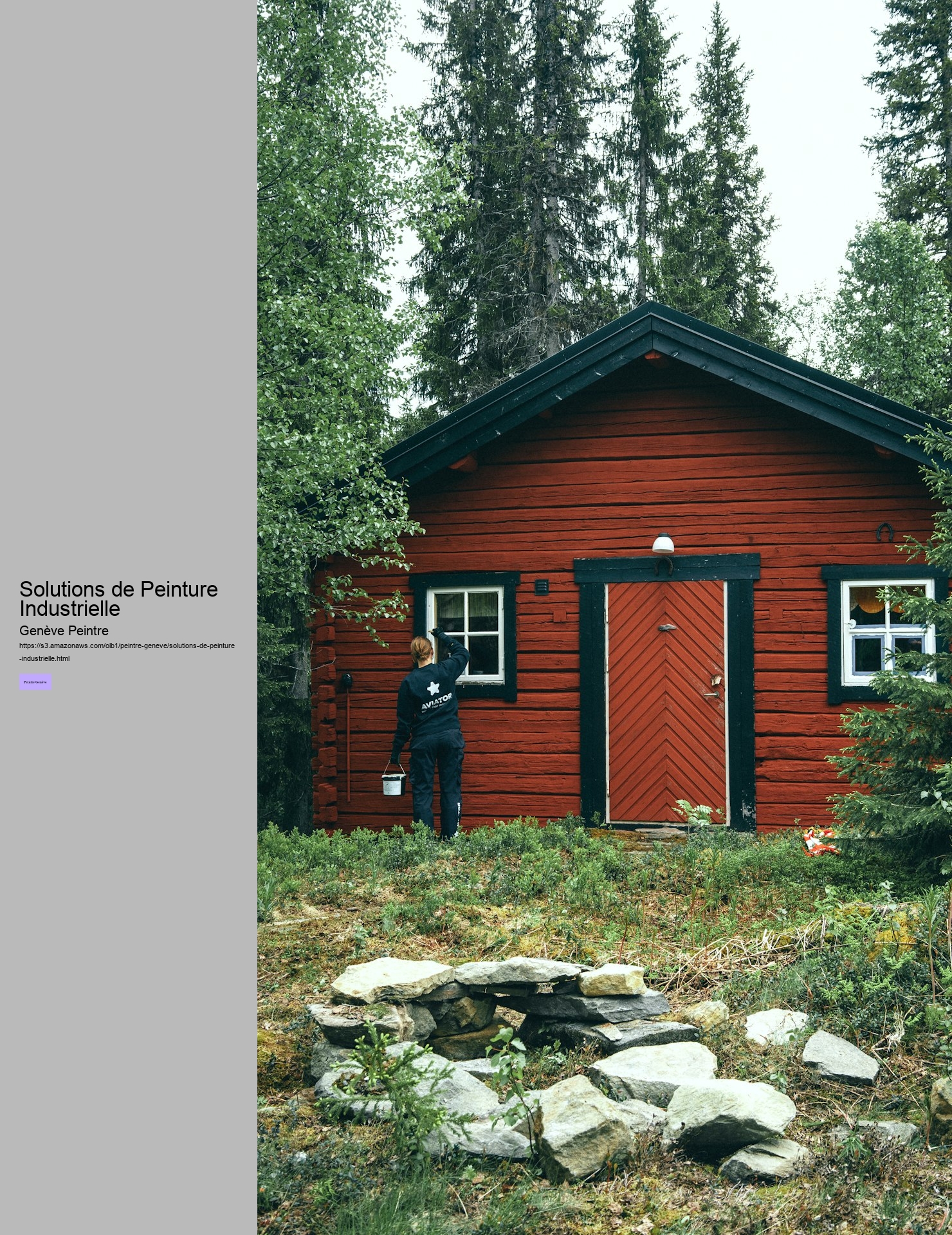 Solutions de Peinture Industrielle Genève Peintre Solutions de Peinture Industrielle