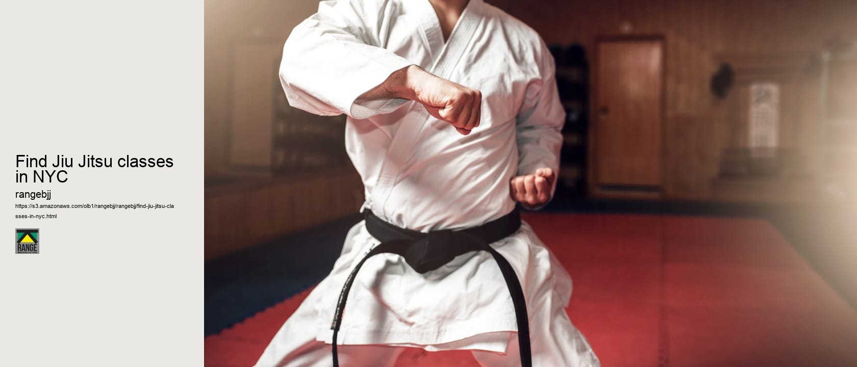 Find Jiu Jitsu classes in NYC