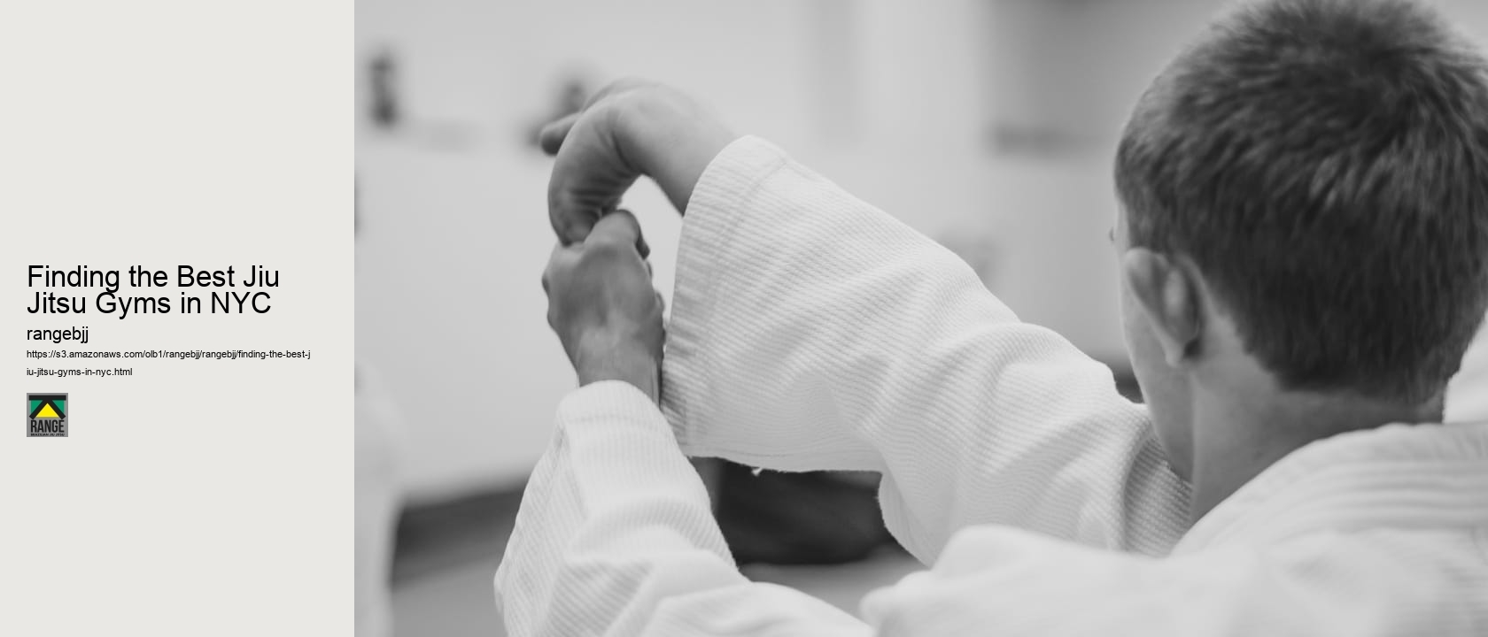 Finding the Best Jiu Jitsu Gyms in NYC 