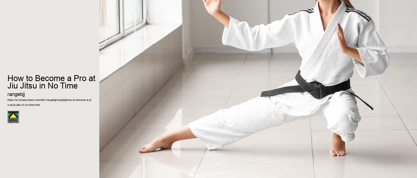 How to Become a Pro at Jiu Jitsu in No Time 