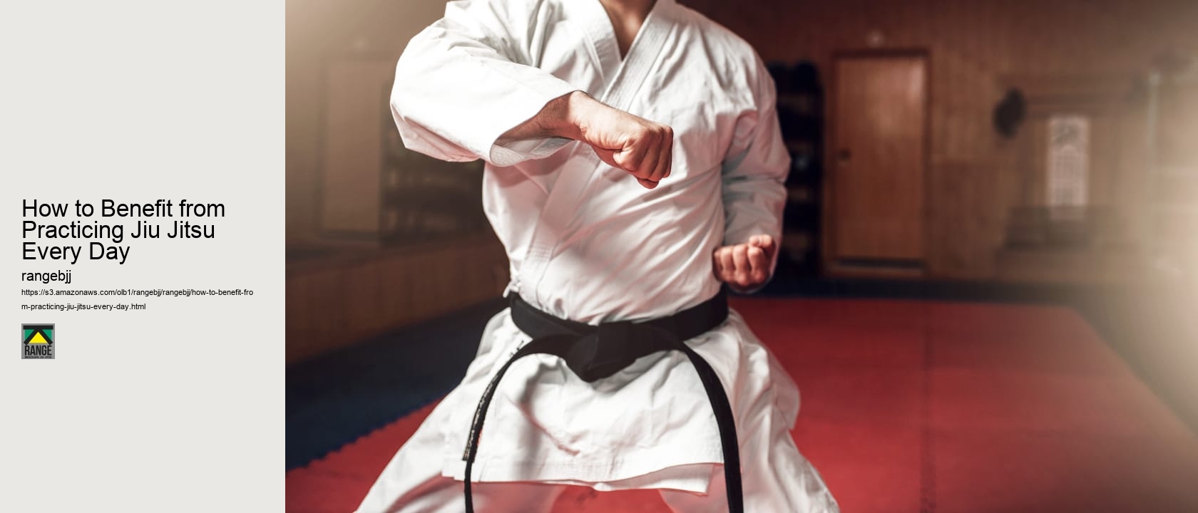 How to Benefit from Practicing Jiu Jitsu Every Day 