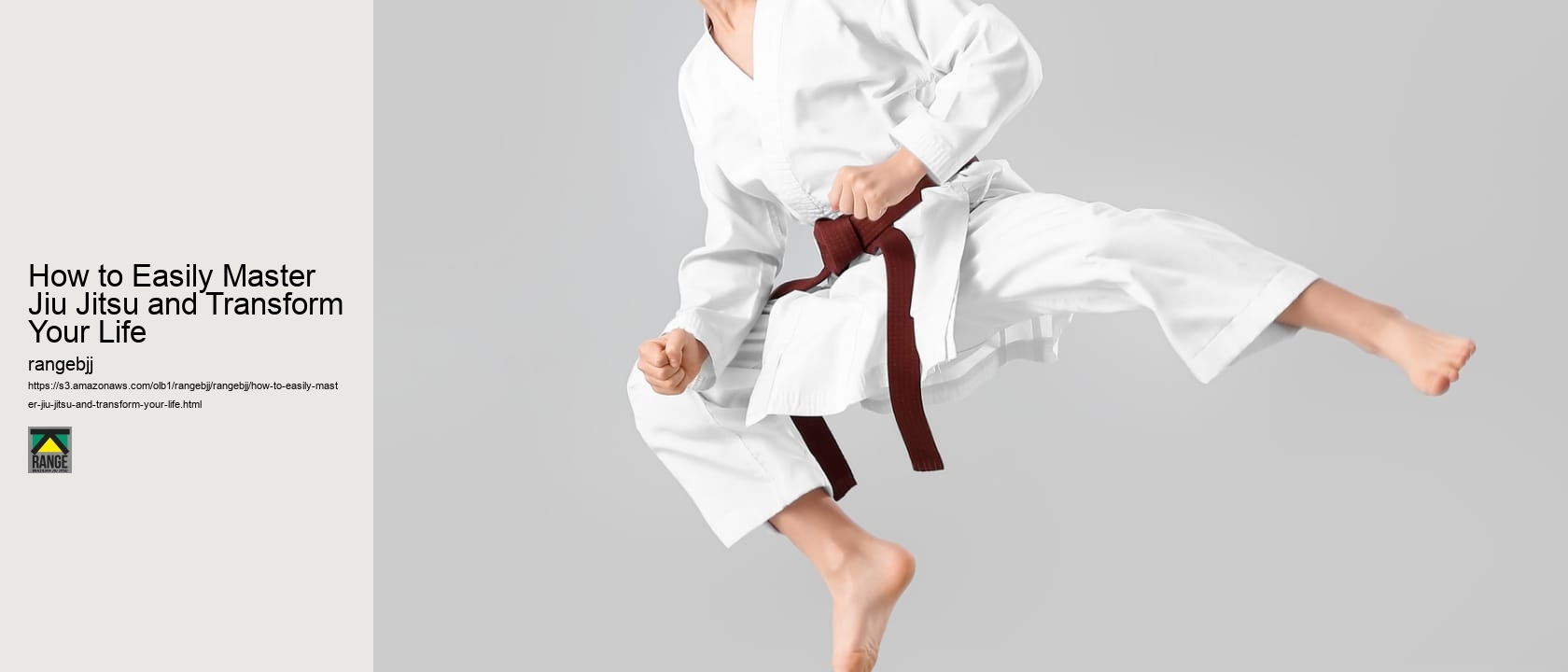 How to Easily Master Jiu Jitsu and Transform Your Life 