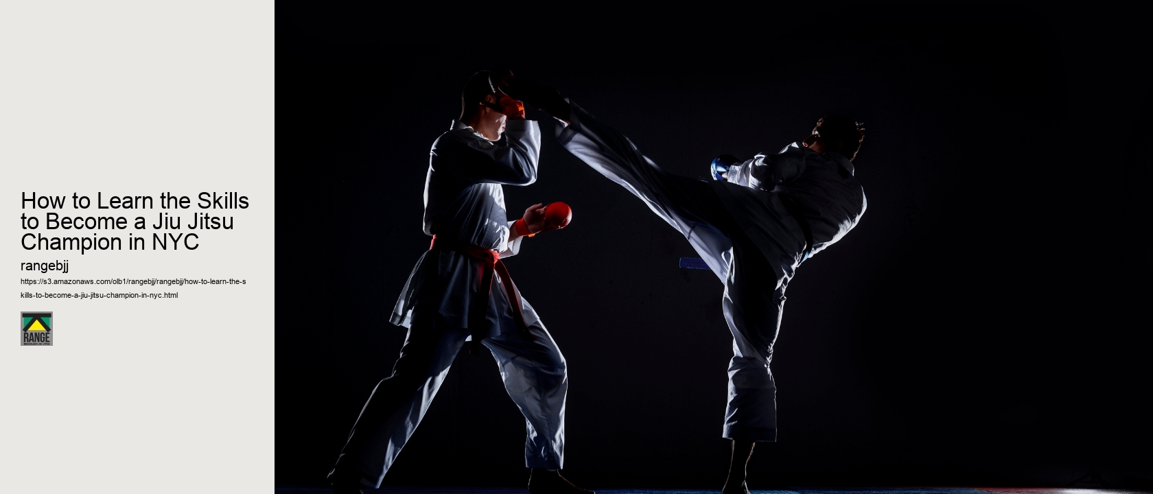 How to Learn the Skills to Become a Jiu Jitsu Champion in NYC 