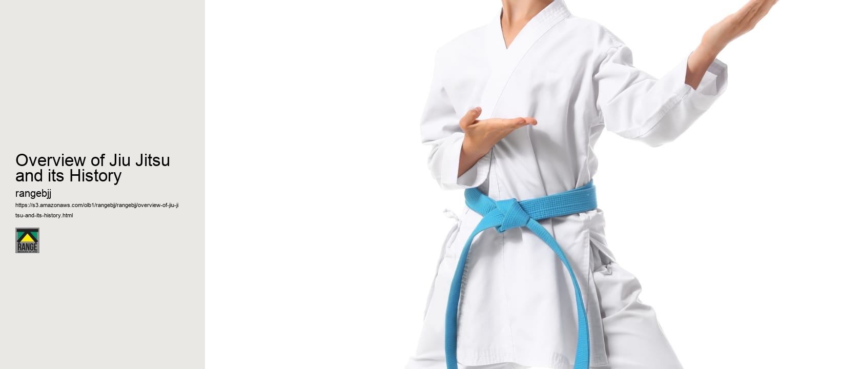 Overview of Jiu Jitsu and its History 