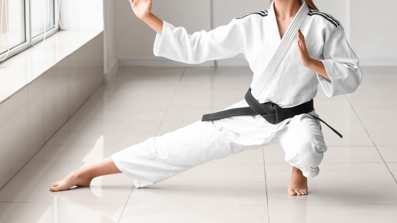 Mixed Martial Arts Schools