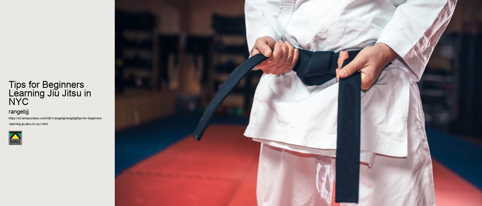 Tips for Beginners Learning Jiu Jitsu in NYC 