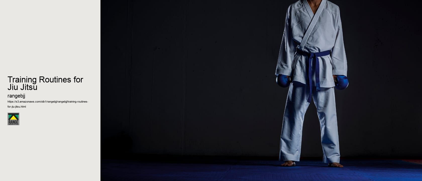Training Routines for Jiu Jitsu 