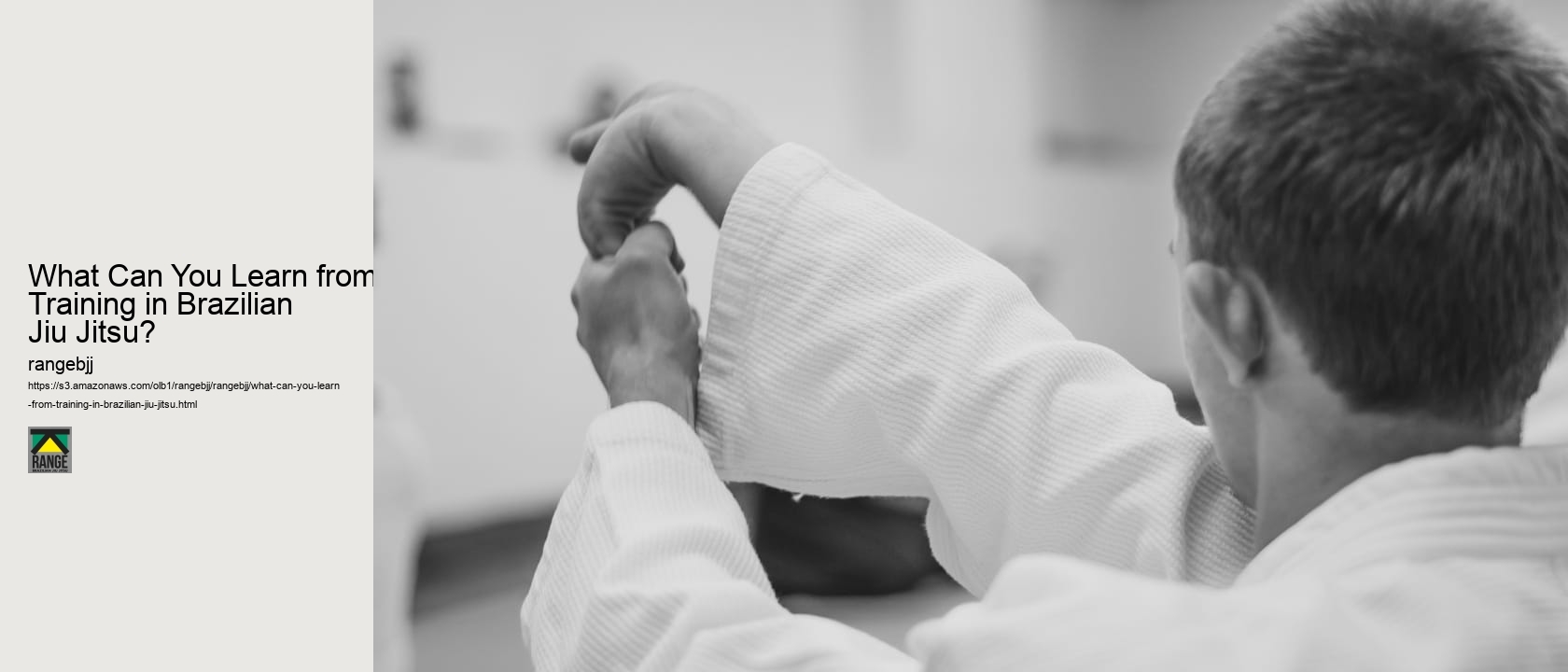 What Can You Learn from Training in Brazilian Jiu Jitsu? 