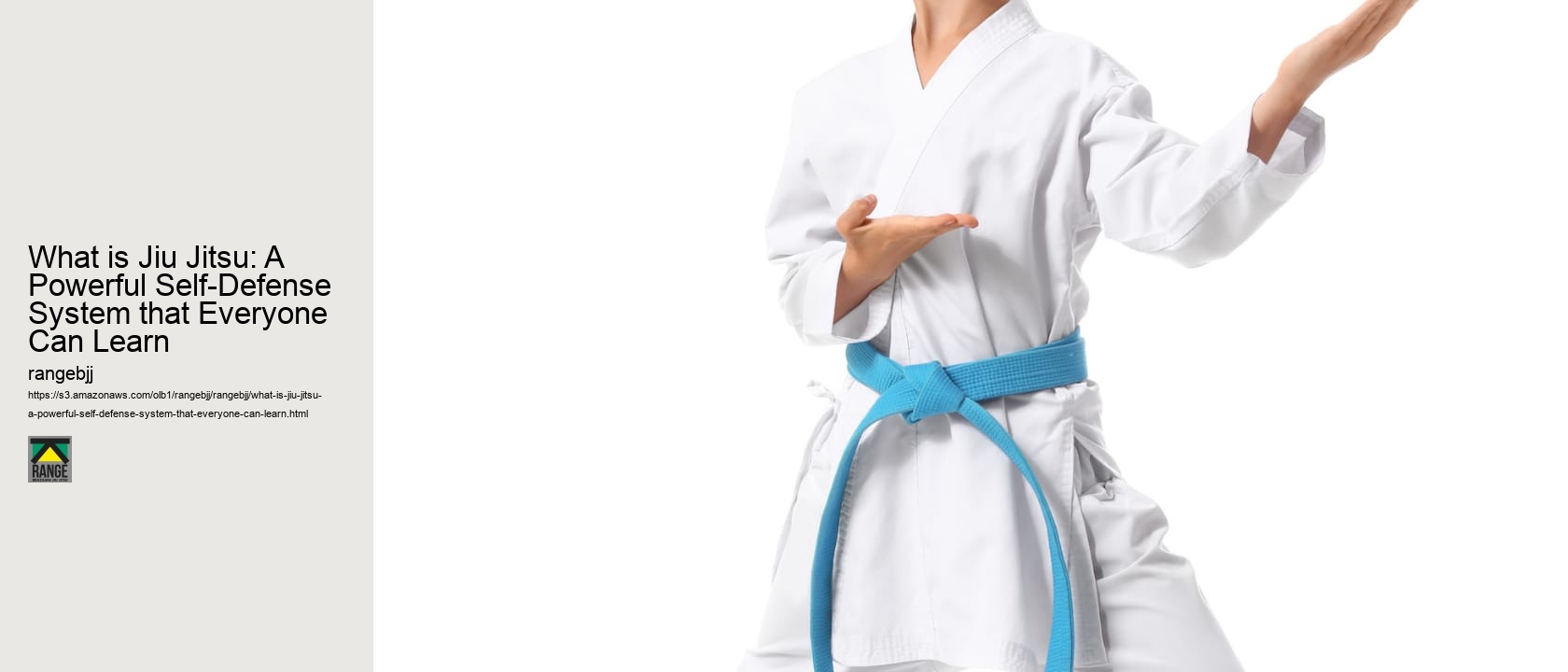What is Jiu Jitsu: A Powerful Self-Defense System that Everyone Can Learn