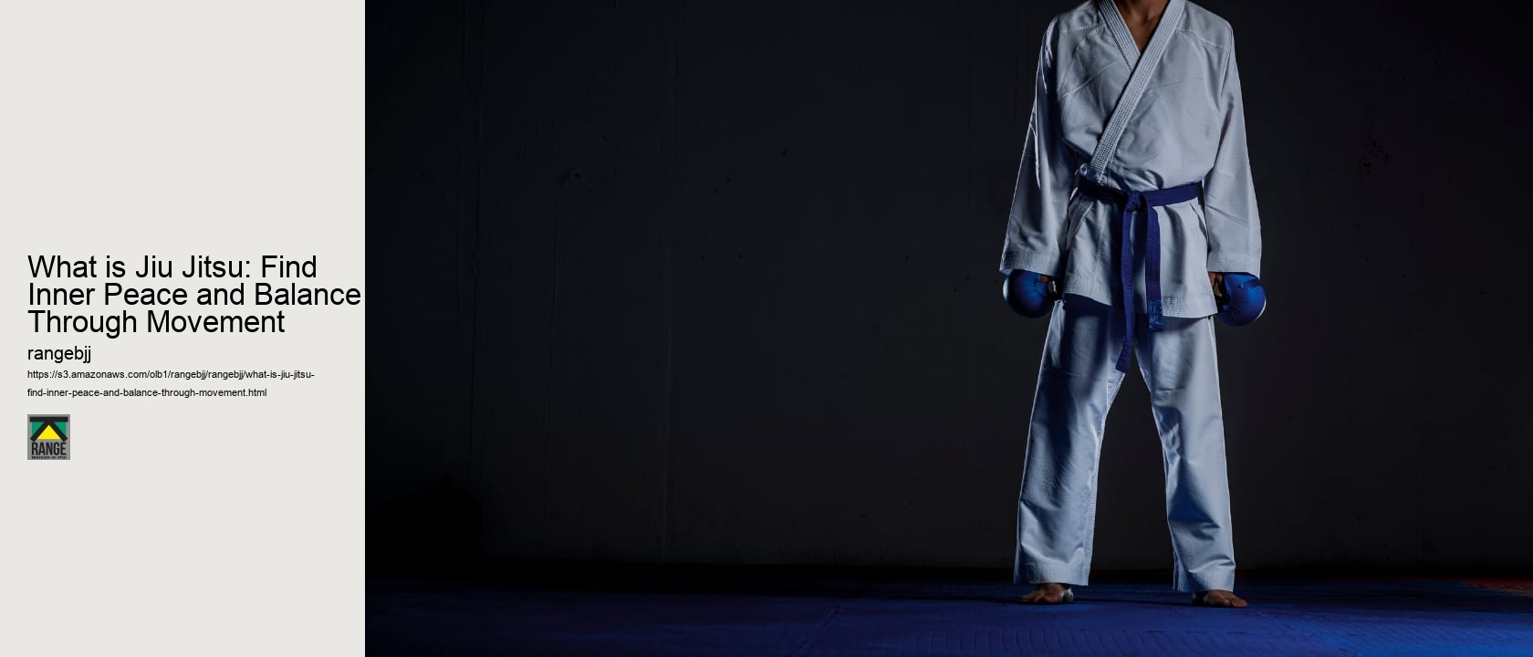 What is Jiu Jitsu: Find Inner Peace and Balance Through Movement 
