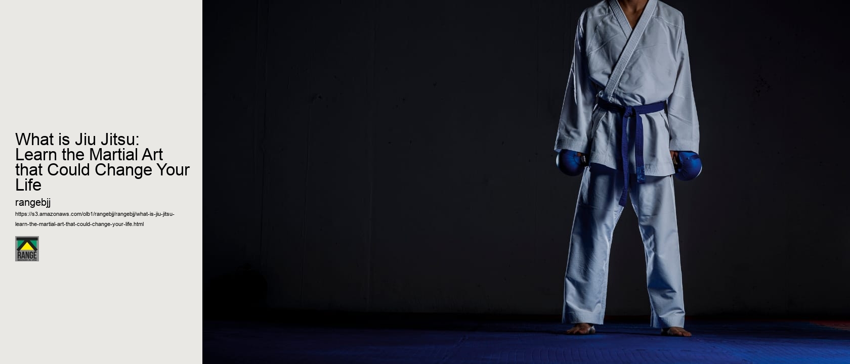 What is Jiu Jitsu: Learn the Martial Art that Could Change Your Life 