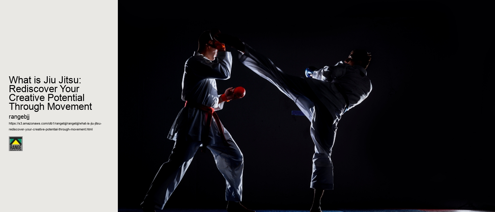 What is Jiu Jitsu: Rediscover Your Creative Potential Through Movement 