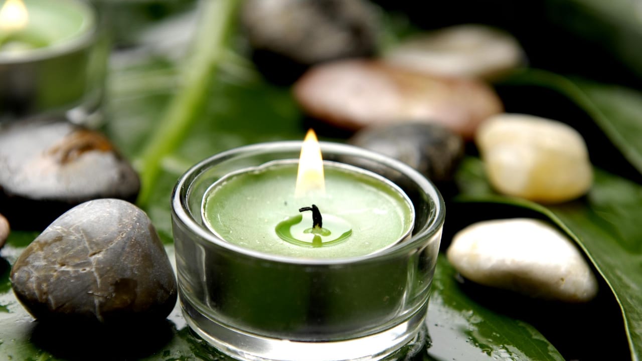 What does a wellness plan look like?