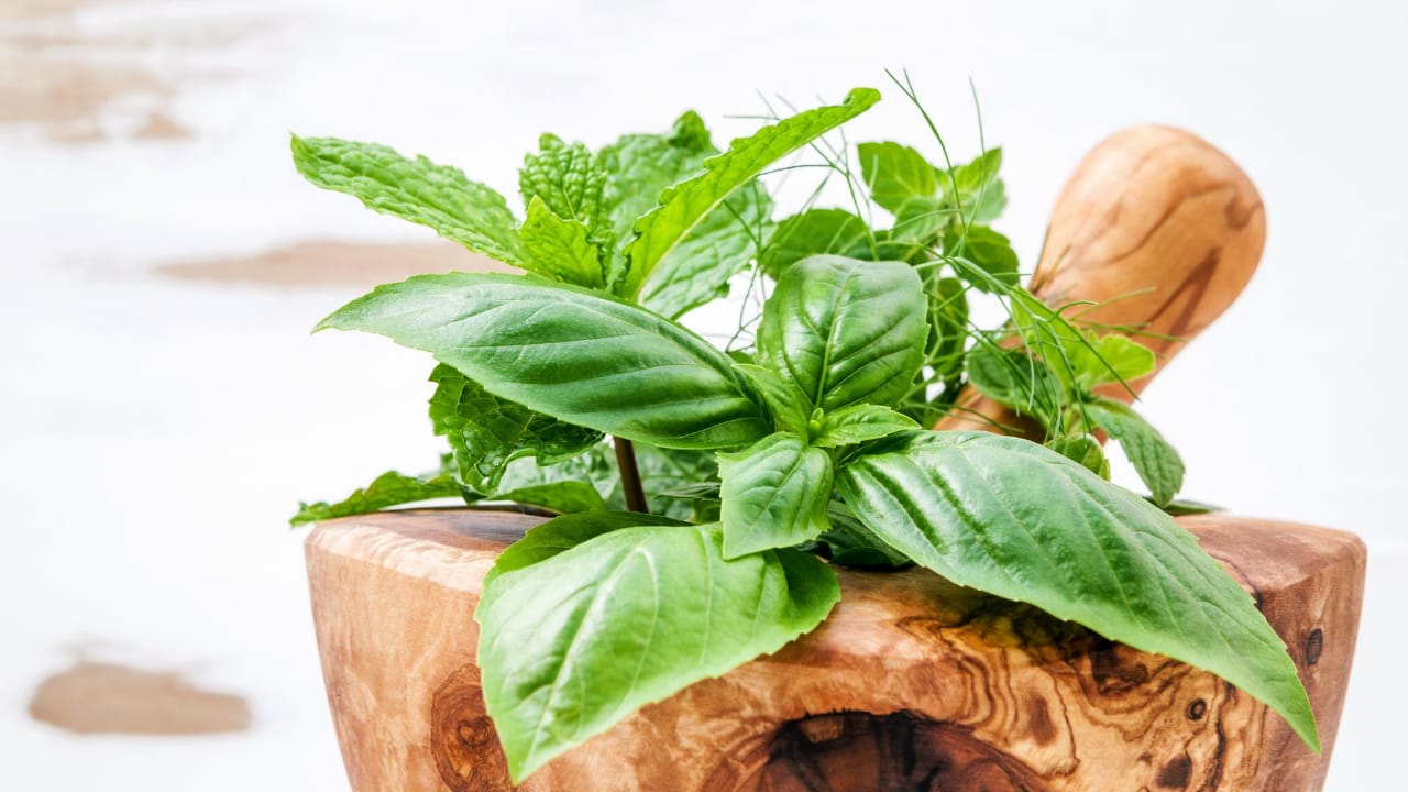 What do you do in a solo retreat?