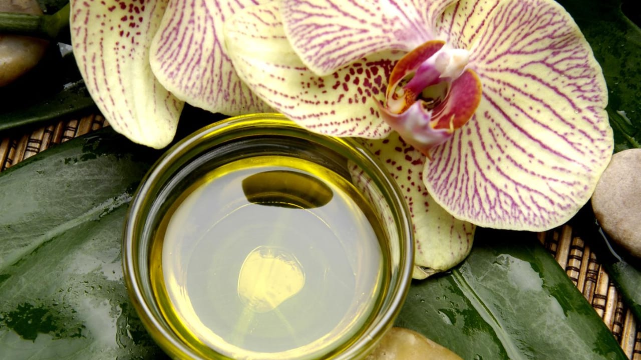 What do wellness retreats provide?