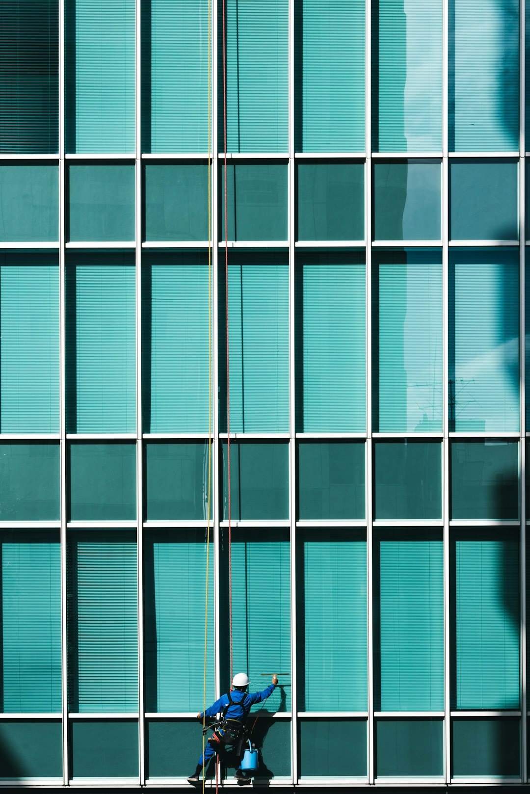 Trusted and Background-Checked Cleaning Professionals