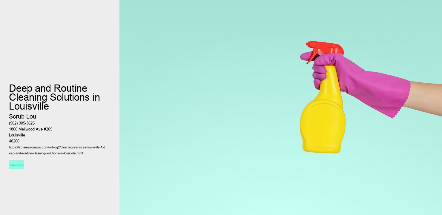 Deep and Routine Cleaning Solutions in Louisville