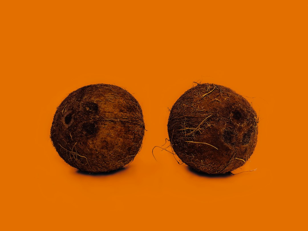 sprouted coconut uses