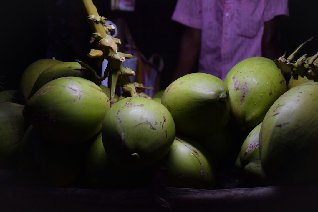 sprouted coconut benefits