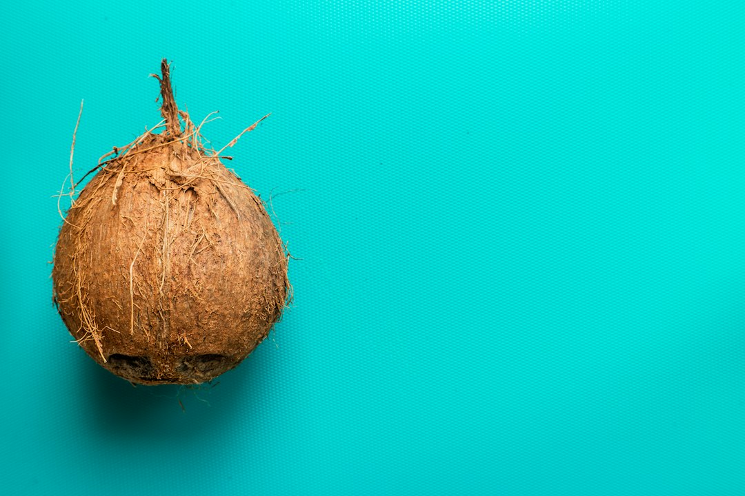 sprouted coconut sponge
