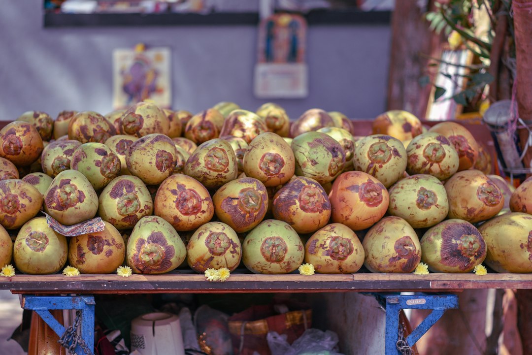 edible part of sprouted coconut